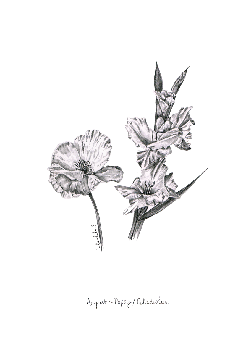 August Flower Of The Month Birth Flowers