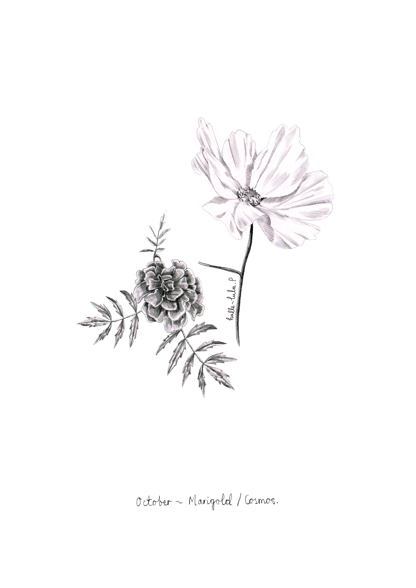 October Birth Print