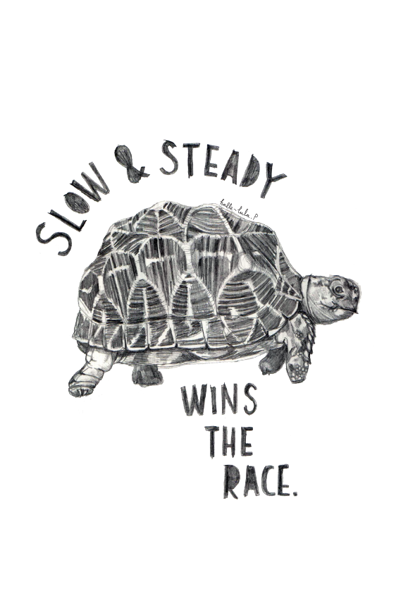 Slow & Steady Wins The Race