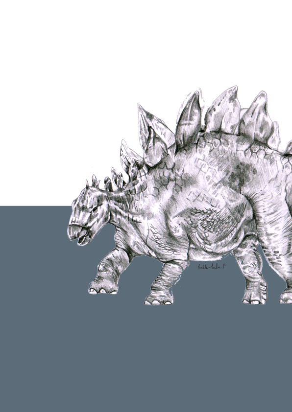 Stegosaurus
