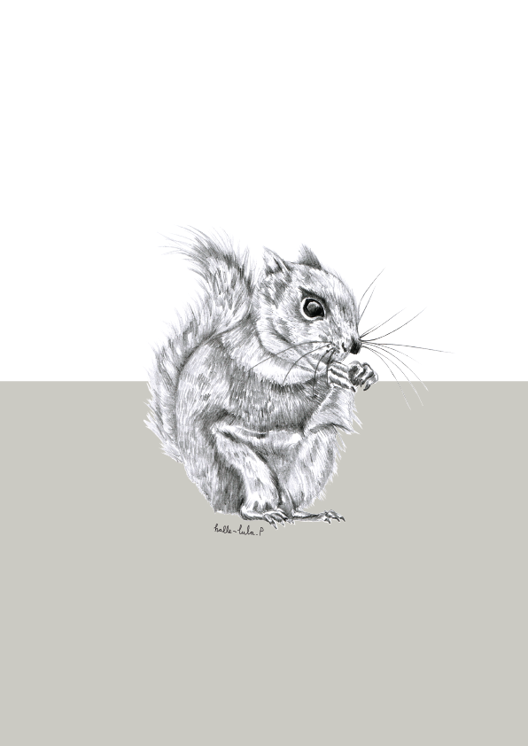Woodland Squirrel Print