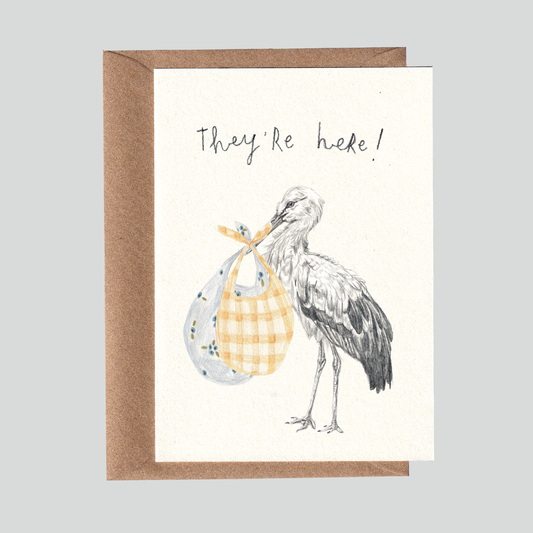 They're here! New Twin Baby Card.