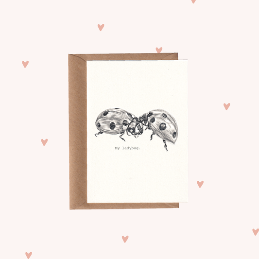 Valentine's | Ladybugs. My Ladybug.