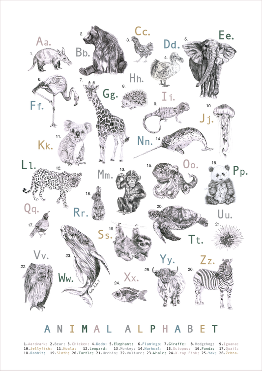 Animal Alphabet Poster