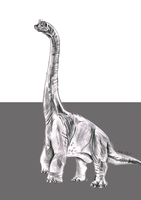 Brachiosaurus