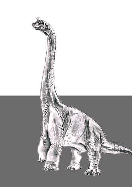 Brachiosaurus