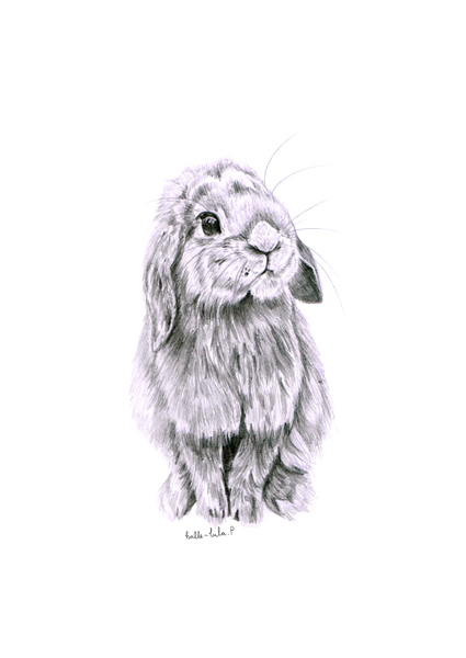 Bunny Too