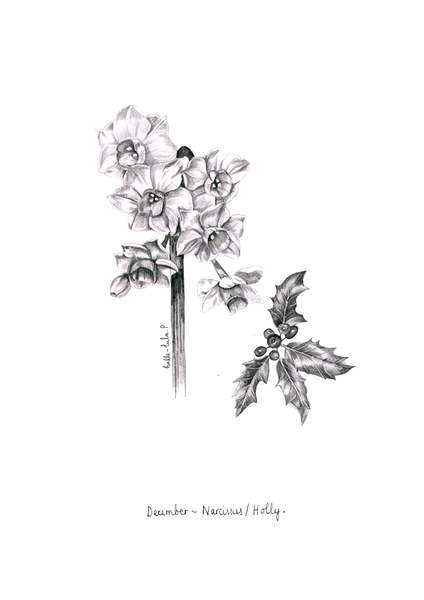 December Birth Flower