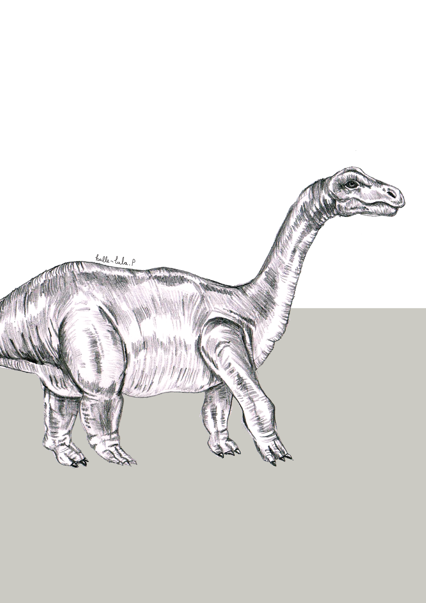 Diplodocus