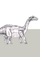 Diplodocus