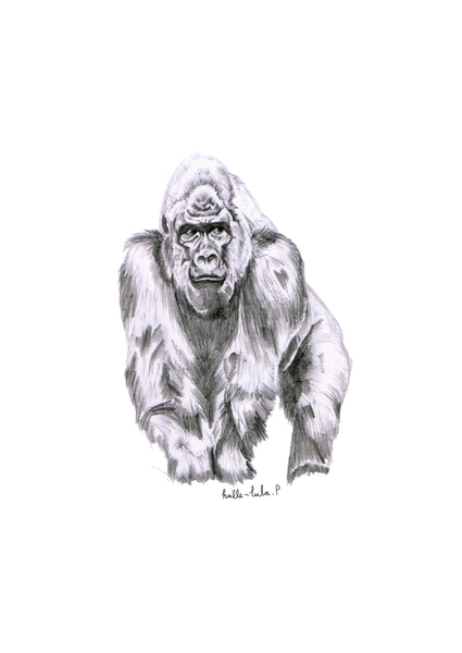 Gorilla