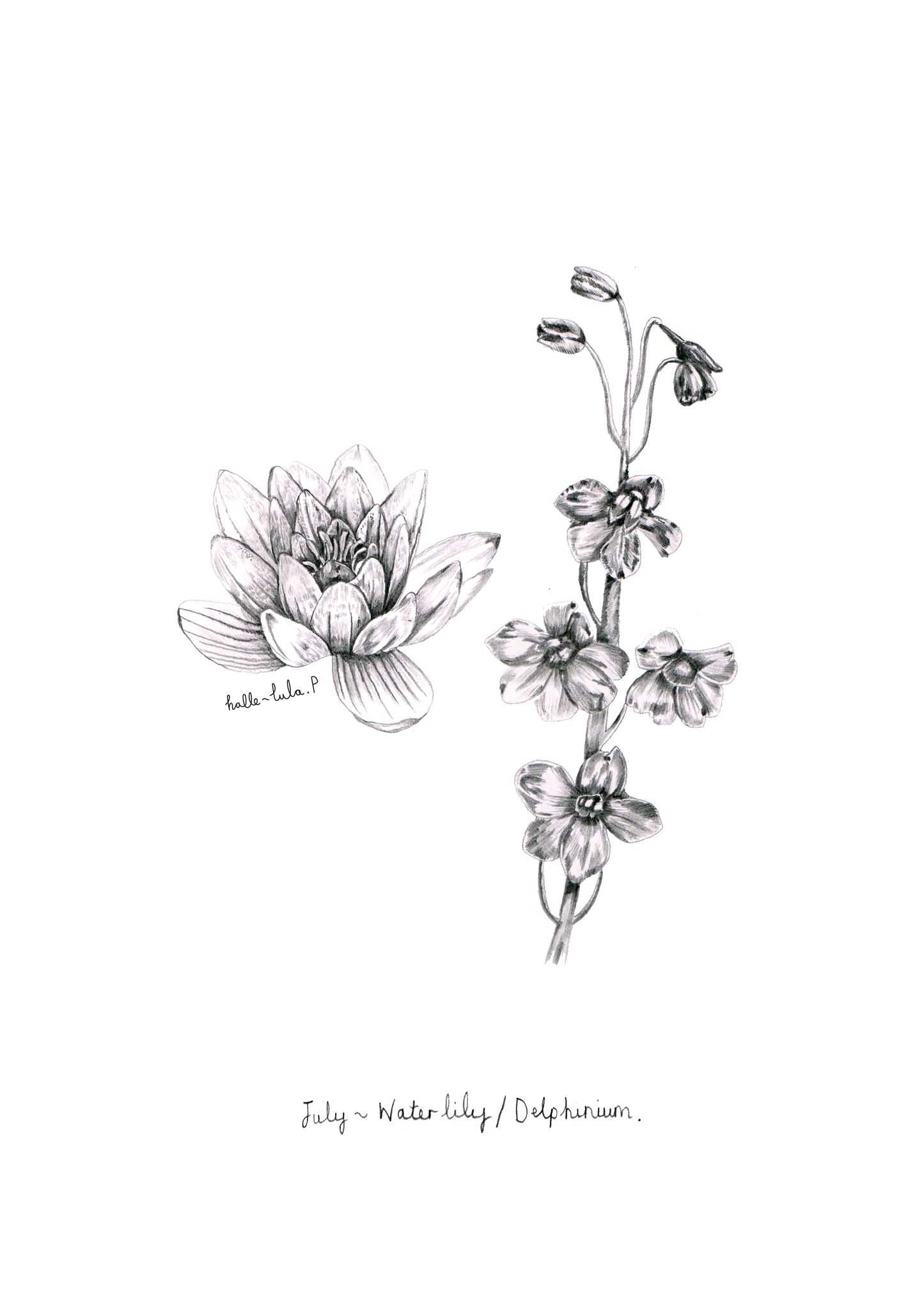 July Birth Flower
