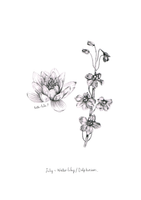 July Birth Flower