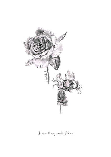 Detailed Birth Flowers Set 2 by Rebecca Wasserberg on Dribbble