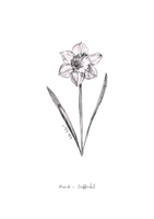 March Birth Flower