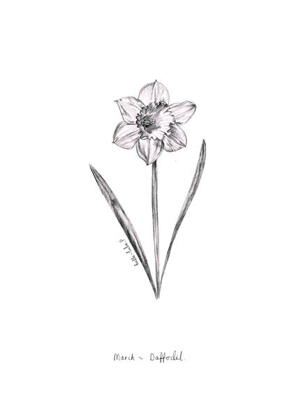 March Birth Flower