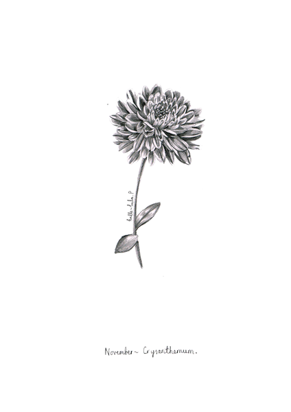 November Birth Flower