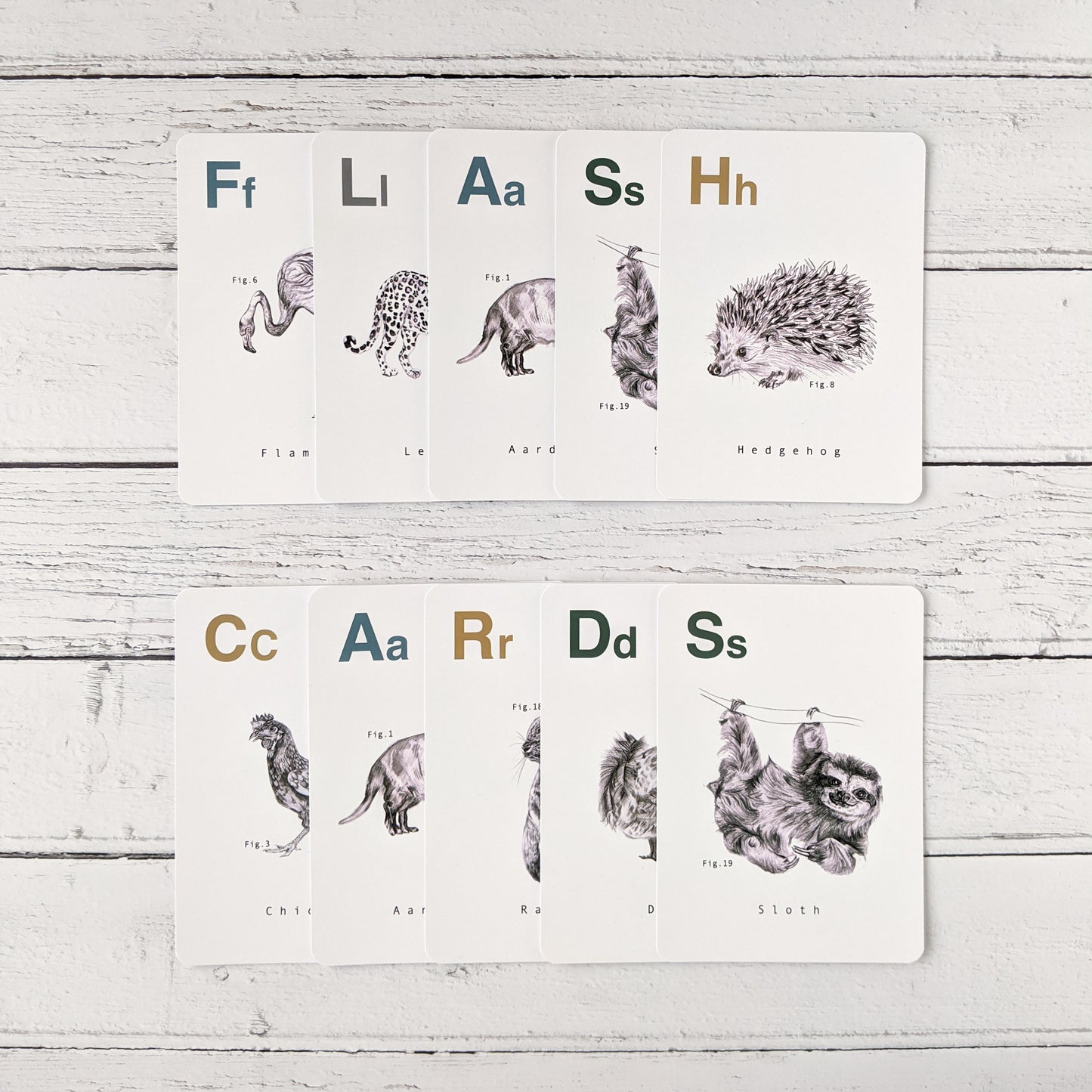 Animal Alphabet Flashcards