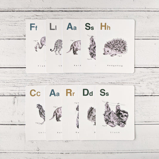 Animal Alphabet Flashcards