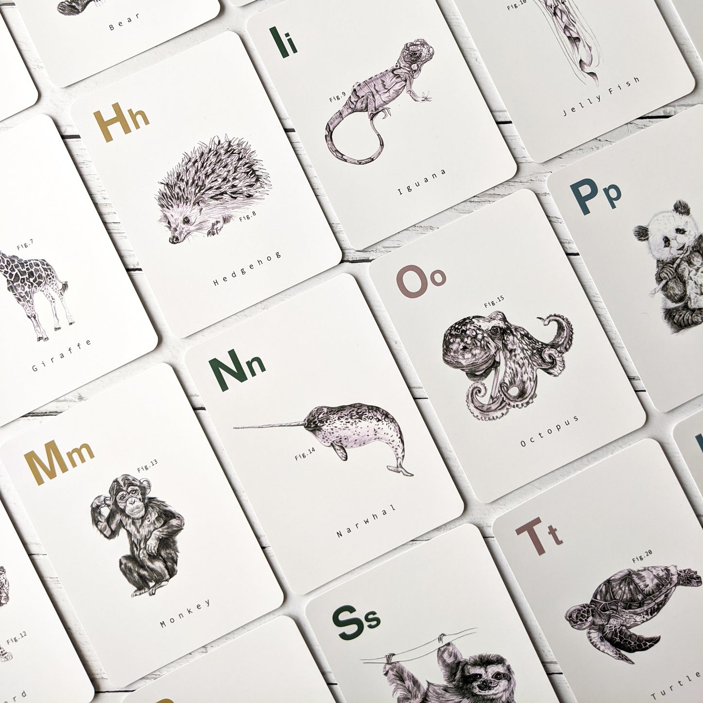 Animal Alphabet Flashcards