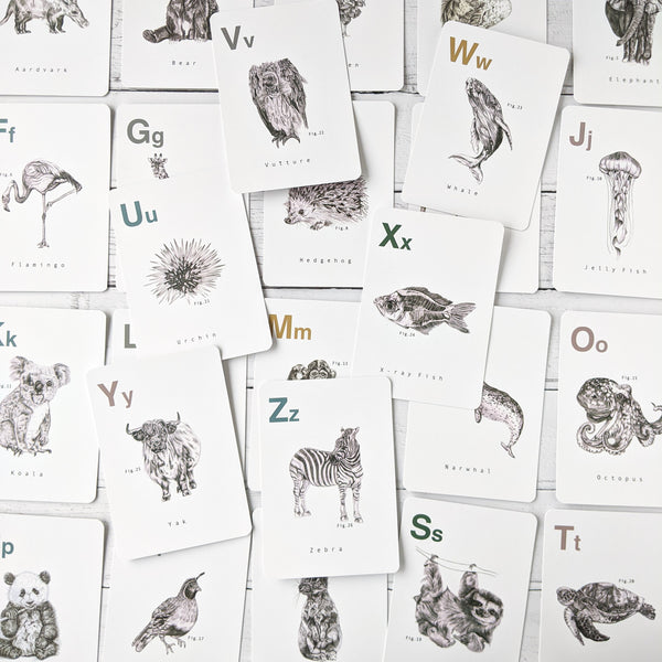 SECONDS Flashcards