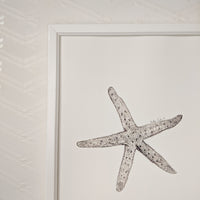 Skinny Star Fish