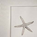 Skinny Star Fish