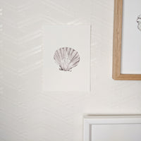 Scallop Shell