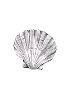 Scallop Shell