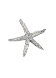 Skinny Star Fish