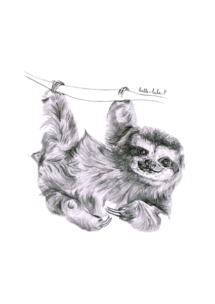 Sloth