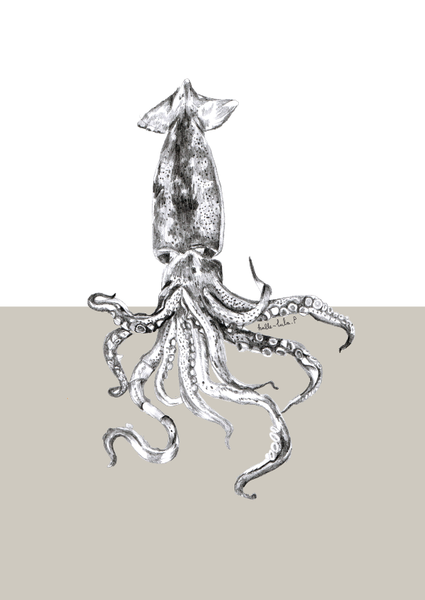 Squid Under the Sea Print