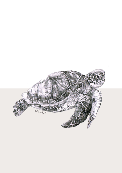 Turtle Under the Sea Print