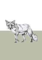 Woodland Fox Print